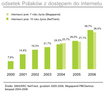 raport Internet 2006
